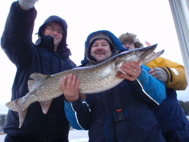 Jari, manageri Kaima, Hauki ja Salon Pekka