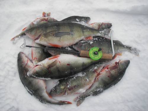 Filetille töitä.jpg