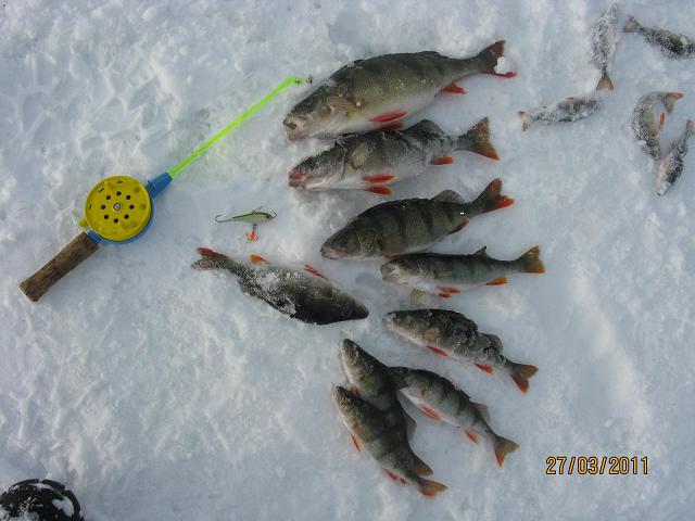 495g ja muut pönö.JPG