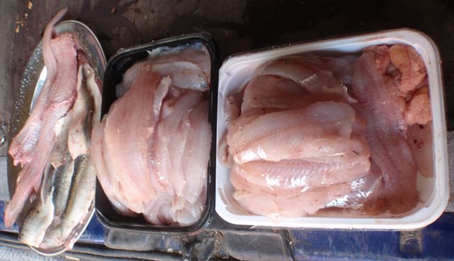 Kalasoppatarpeita siikaa - kuhaa - ahventa - madetta - mateen maksaa.