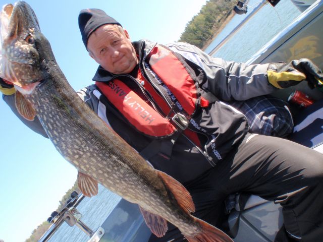 Asiakas Ismo ja 7.2 hauki! Kala tuli Jounin maalaamalla Puska Jakki rungolla. Väri puna pää/keltainen.