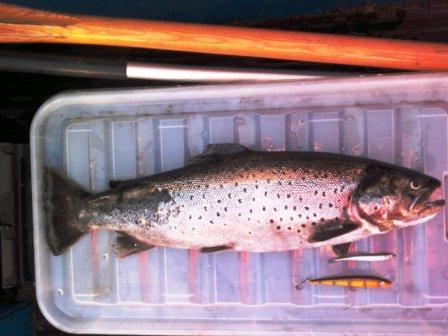 Kopio Tane 3,12 4.jpg