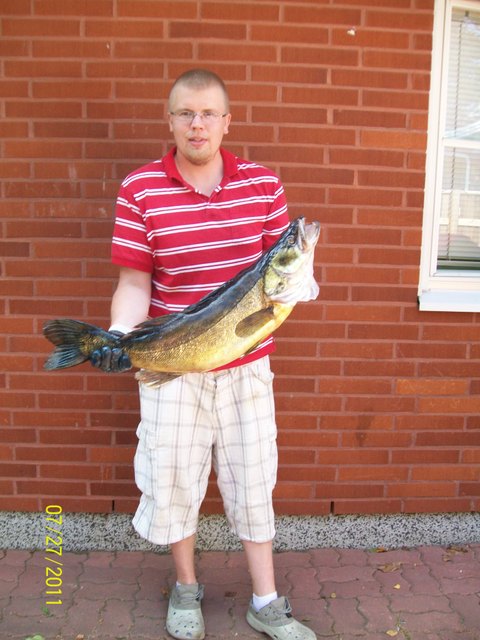 Nässy 2011 kuha 6.4kg