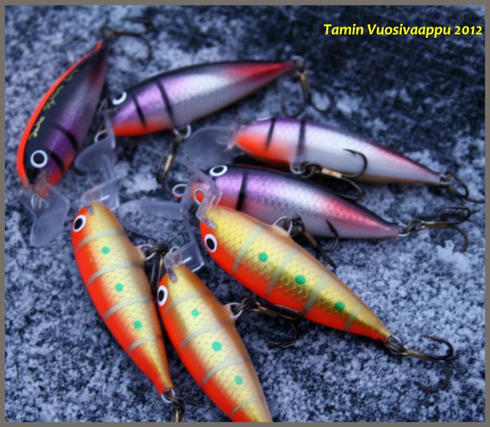 Tamin Vuosivaappu 2012