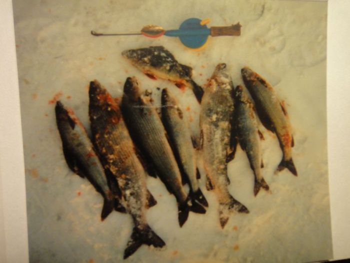 Wanhoja kuvia 002.jpg