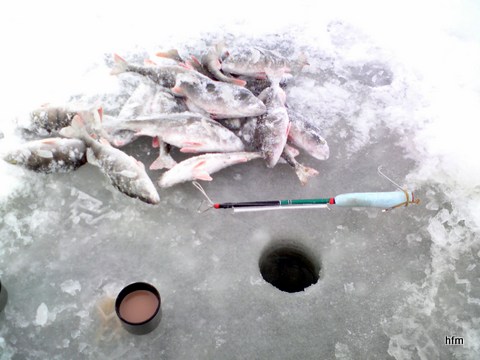 3.5kg Isoimmat 300-400g