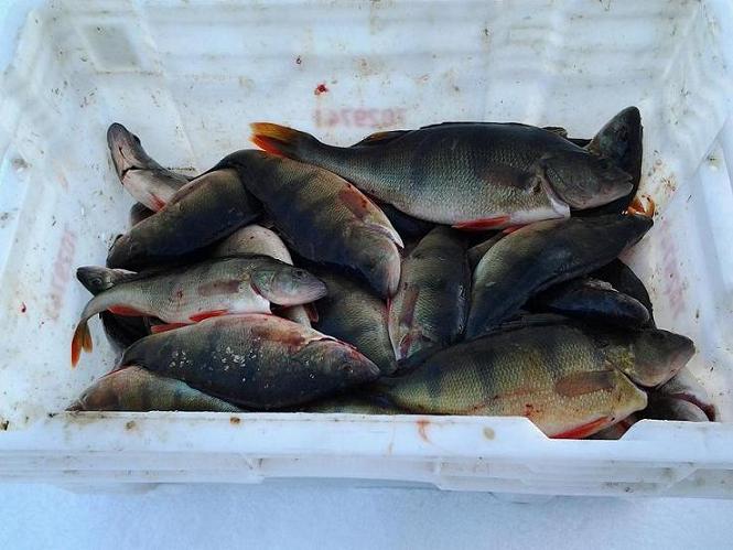 2012-03-24 15.44.08.jpg