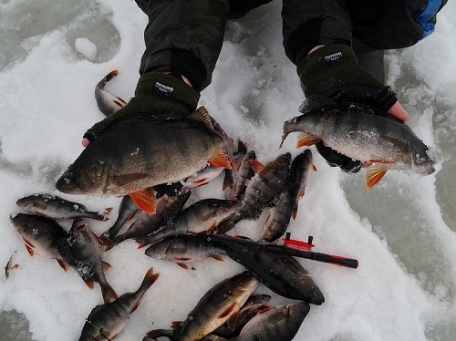 2012-04-14 15.29.41 – Kopio.jpg