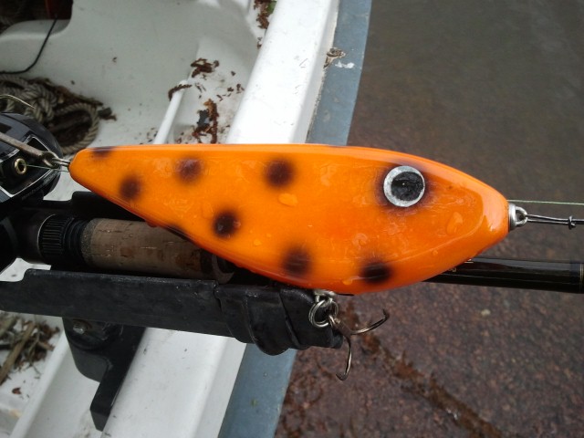 2012-05-20 12.18.50 (640x480).jpg