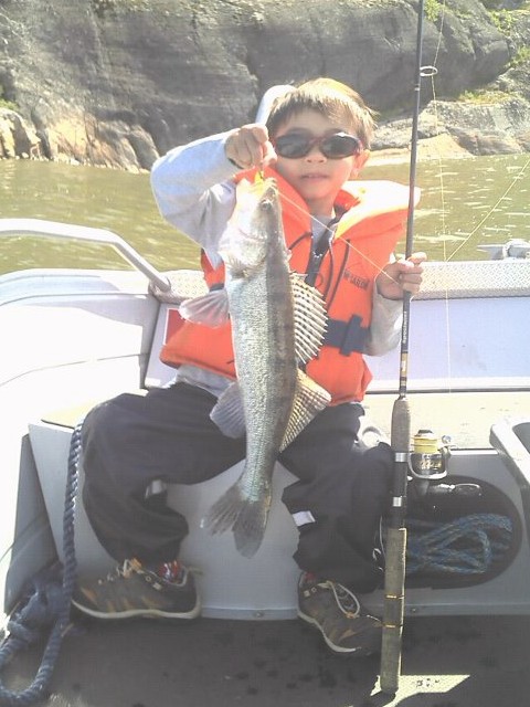 Kuha enkka, 900g.jpg