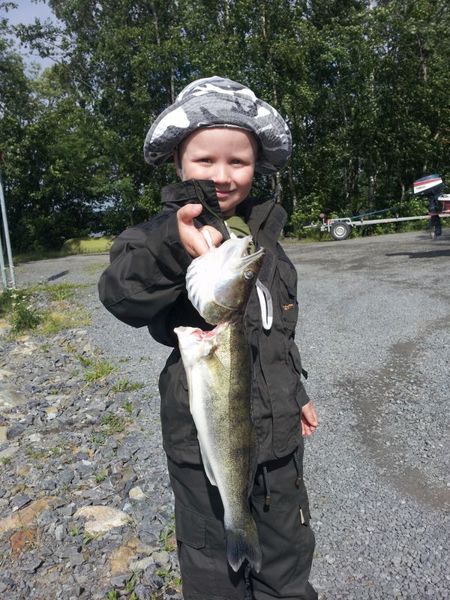 vili ja kilon kuha.jpg