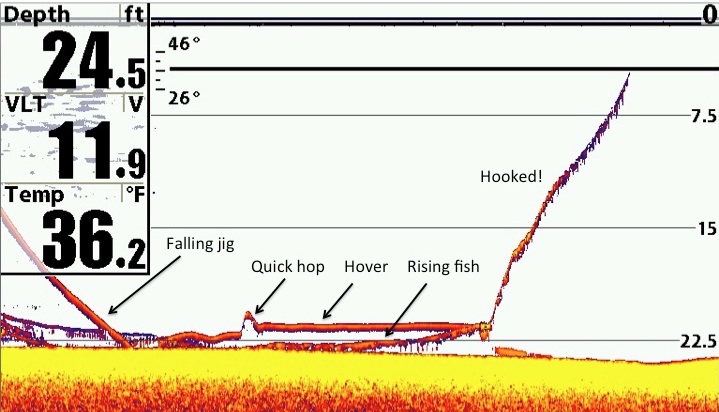 Tuolta se näyttää humminbirdillä