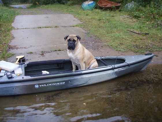 Kalakaverin oma paikka
