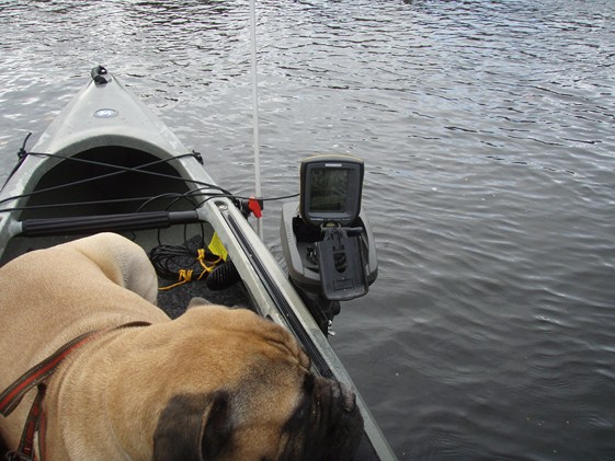 Jos ihmetyttää miten melon kun tuo pää on tuossa niin käytän kanoottimelaa.