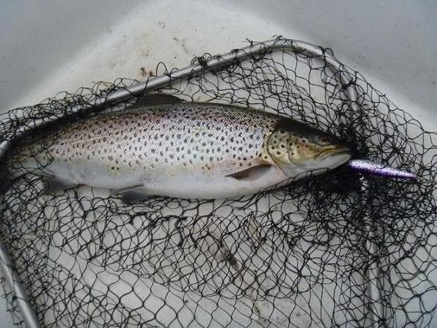 64-senttiä räjähtävää voimaa.JPG