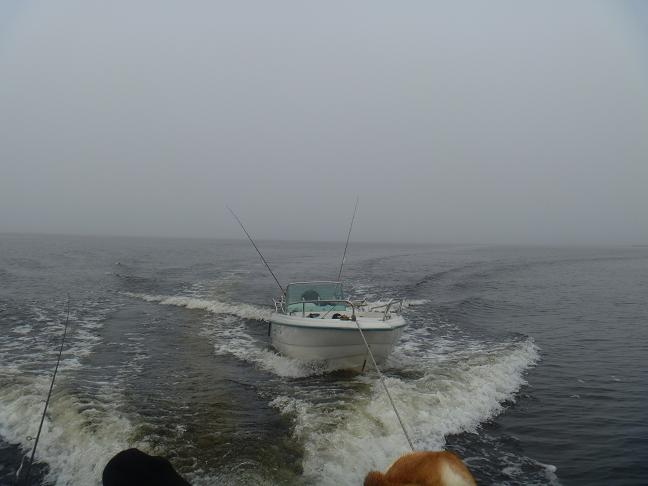 Niinkauan ku sitä kesti.JPG