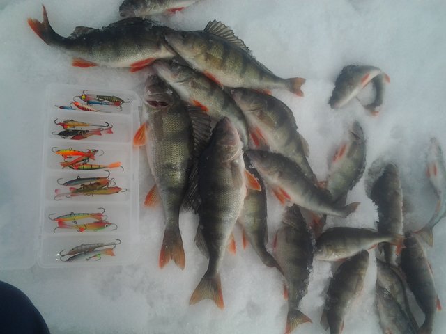 2013-04-14 12.58.22.jpg