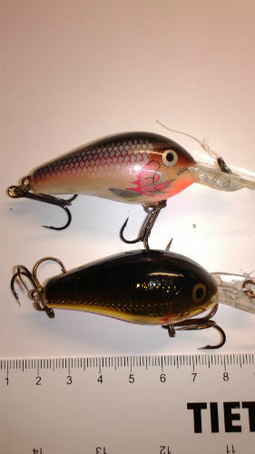 Kaksi Palloräminää. Lähtö 10€