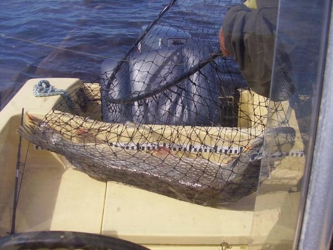 2. jonkinlainen mitta.JPG