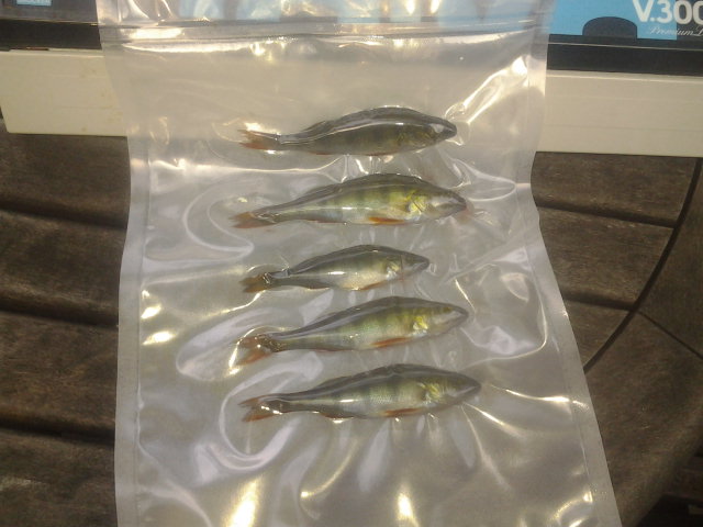 2013-09-08 08.57.59.jpg