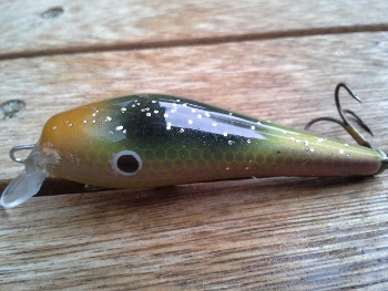 20130922_130418 (350x263).jpg