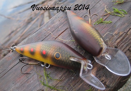 Vuosivaappu 2014 kuva 3.jpg