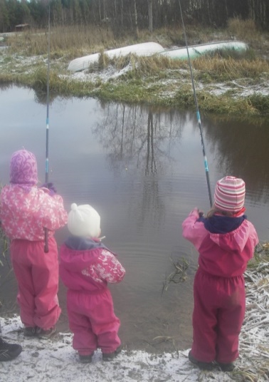 IMGP3166onkijat – Kopio.JPG