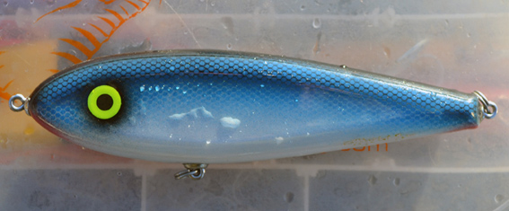 Mid-T "Krokkari-sininen".