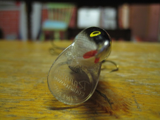 Rapalan uintilapusta kuva