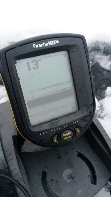 yhden kalan nousu tasurille