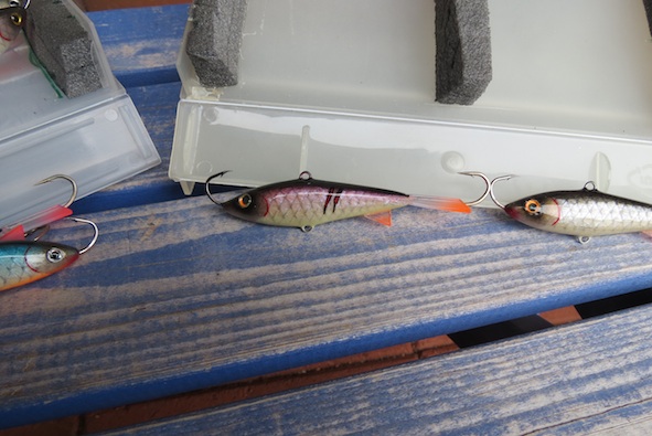 IMG_punaisempi haavasärki.jpg