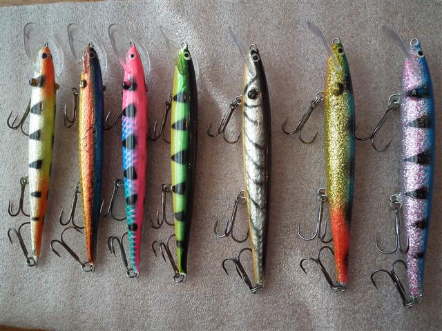 Sepeteus Maxi 1 (Small).JPG