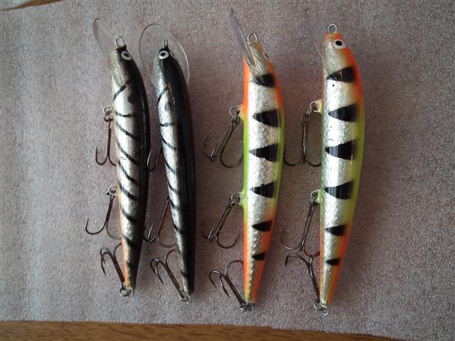 Sepeteus Serikko (Small).JPG