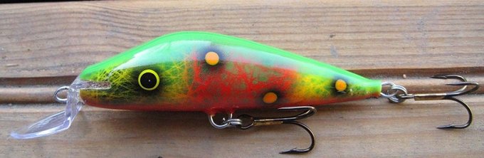 Papukaija 74mm kuva1.jpg