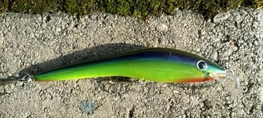 WP_20140309_011 (640x288) (2).jpg