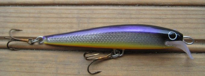 Muikku oranssilla mahalla 75mm kuva1.jpg