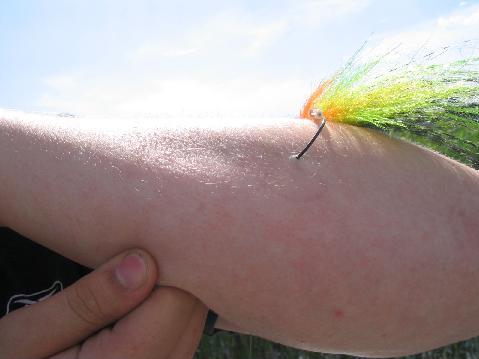 teräviä perkele.JPG