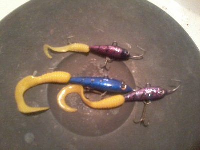 tasurit jigillä.jpg