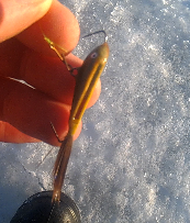 peilitasapaino kv.png