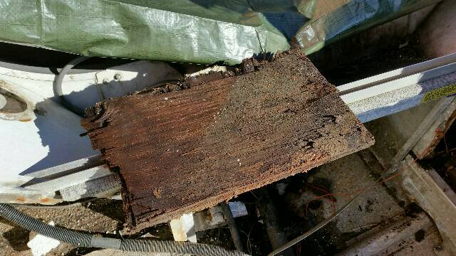 Meriveden marinoima vanerilevy