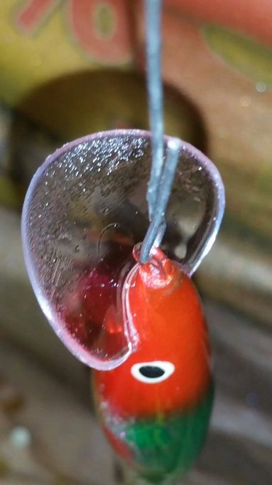 2015-11-20 06.59.31.jpg