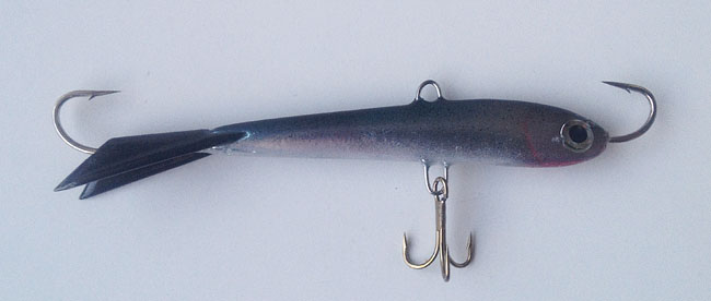 1. Pahakuikan Foliomuikku