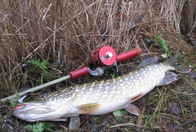 punaista ja valkoista ---- 2.jpg