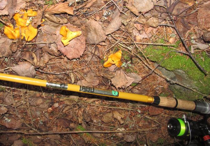 maastosta löytyi samoja sävyjä vavan kanssa...........jpg