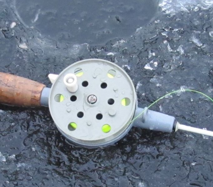 yksinuppunen DELFIN ------ 2.jpg