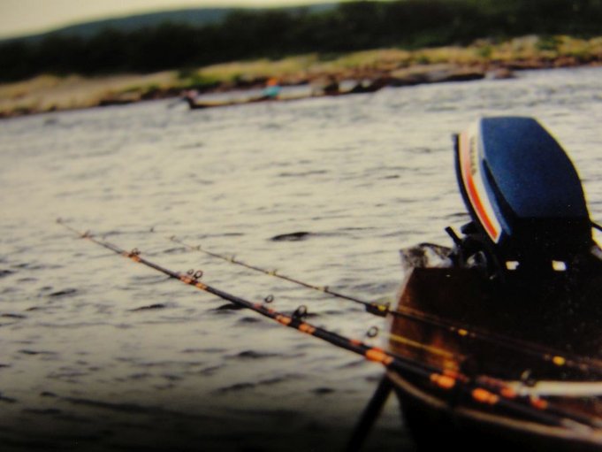 Olympic Osprey 005.jpg