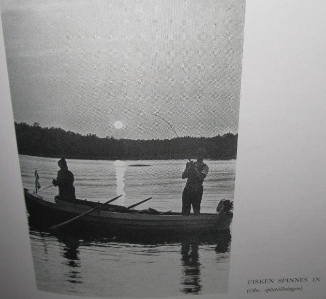 Sportfiske i Sverige kirjasta ---- 3.................................JPG