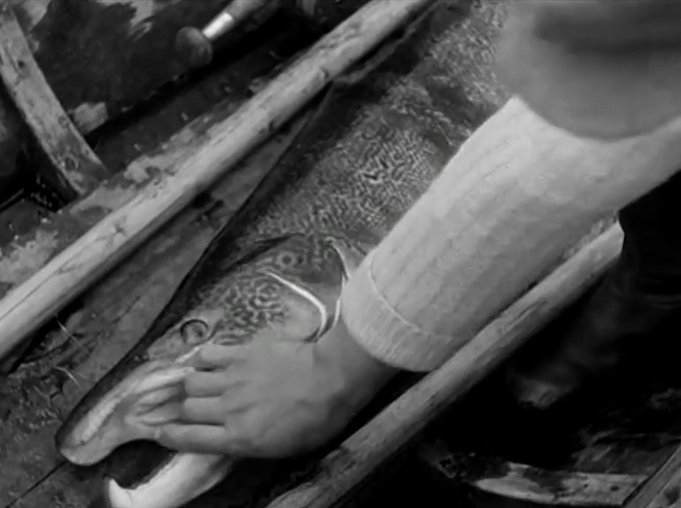 yle - elävämuisti.fi - lomapäiivä tenolla - 10.JPG