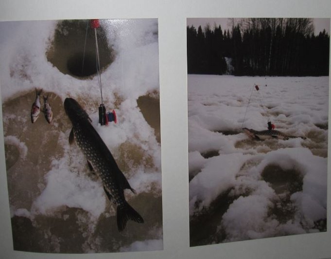 angelfiske ---- 80 luvun loppupuoli. Schröderiltä ostetut haukionget......JPG