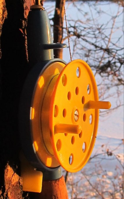 Delfin kiinteät nupit............JPG